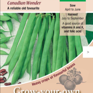 Kings Seeds Dwarf French Bean Canadian Wonder 150 Seeds