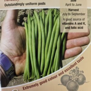 Kings Seeds Dwarf French Bean Faraday 100 Seeds