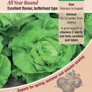 Kings Seeds Lettuce All the Year Round 1400 Seeds
