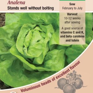 Kings Seeds Lettuce Analena 300 Seeds