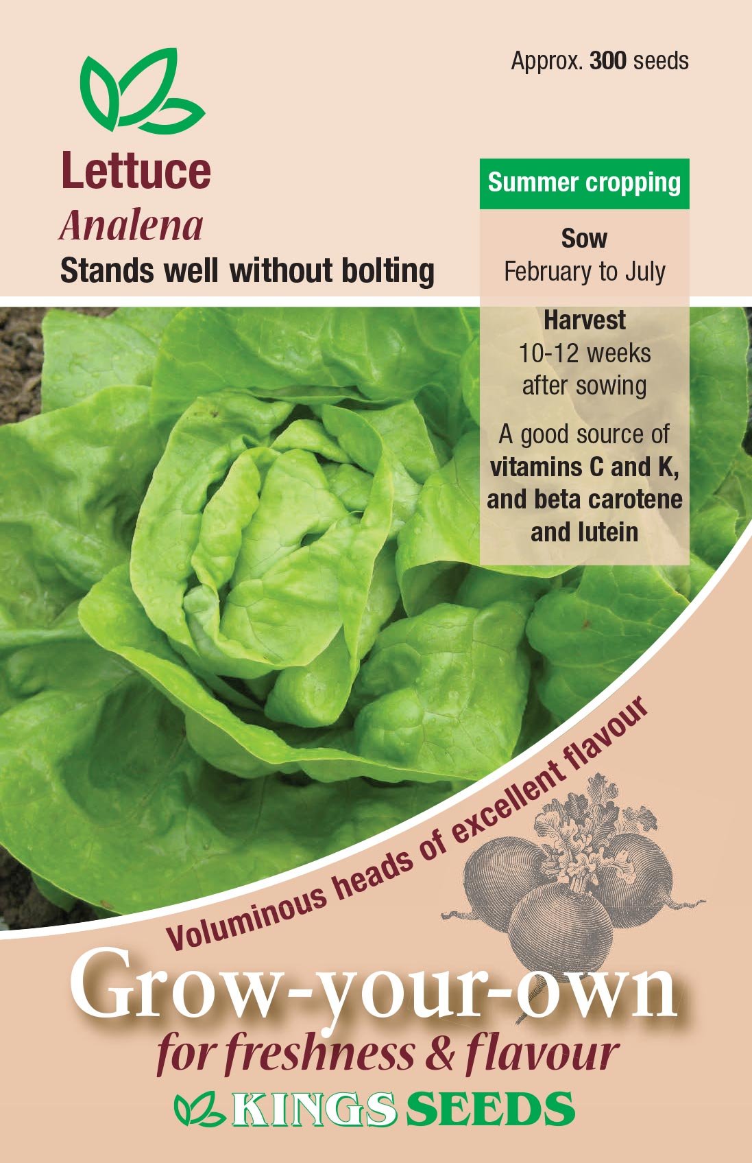 Kings Seeds Lettuce Analena 300 Seeds
