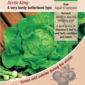 Kings Seeds Lettuce Arctic King 1400 Seeds