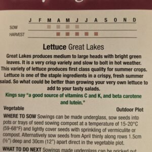 Kings Seeds Lettuce Great Lakes 1400 Seeds