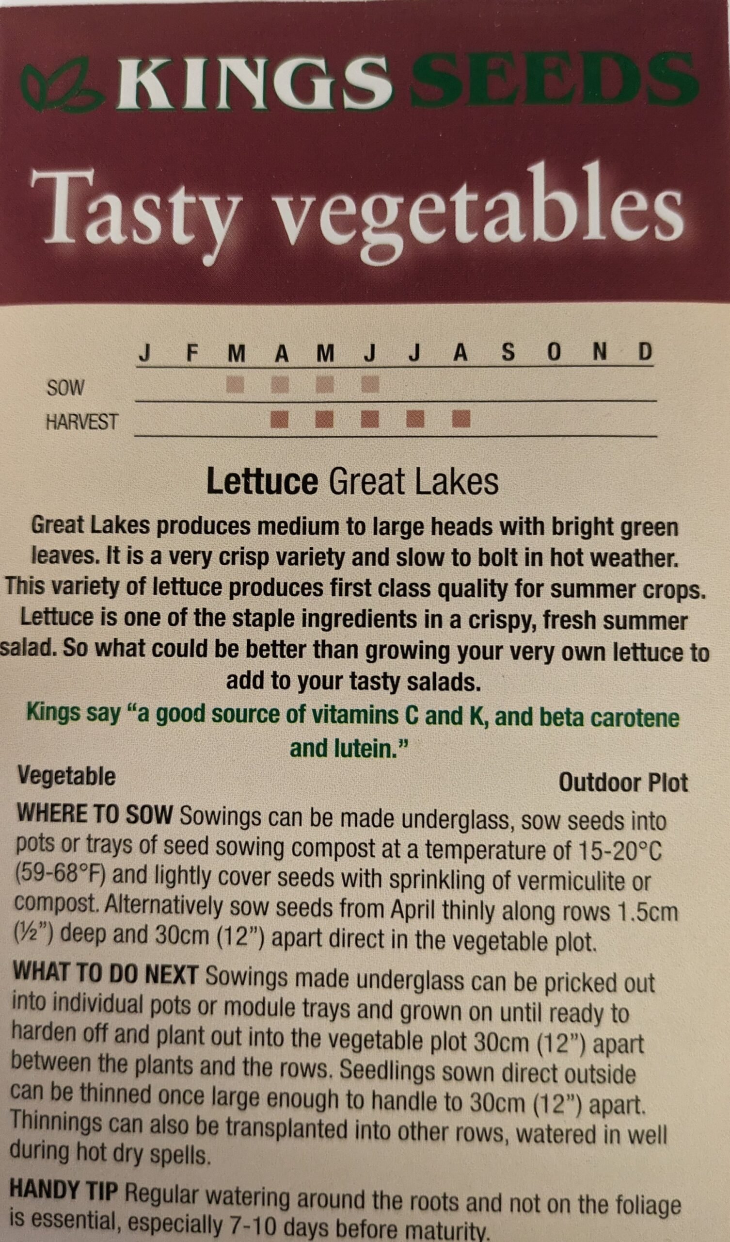 Kings Seeds Lettuce Great Lakes 1400 Seeds