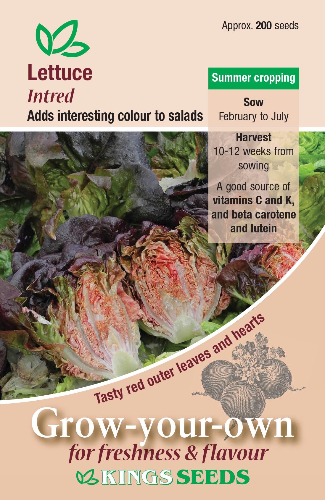 Kings Seeds Lettuce Intred 200 Seeds