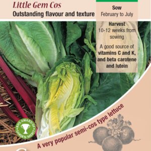 Kings Seeds Lettuce Little Gem Cos 1400 Seeds