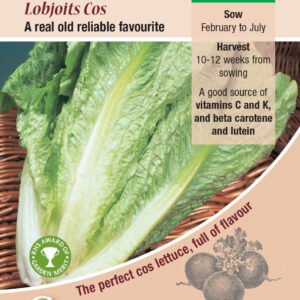 Kings Seeds Lettuce Lobjoits Cos 1400 Seeds