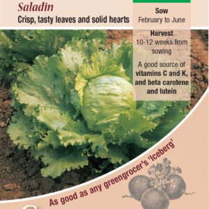 Kings Seeds Lettuce Saladin 1200 Seeds