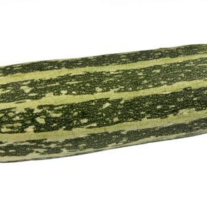 Kings Seeds Marrow Long Green Bush 20 Seeds