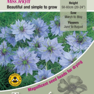 Kings Seeds Nigella Miss Jekyll 500 Seeds
