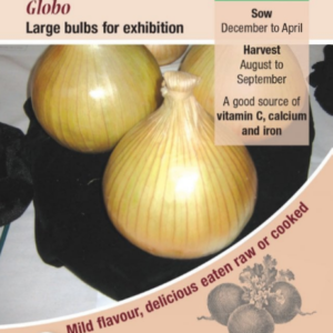 Kings Seeds Onion Globo F1 Hybrid 250 Seeds