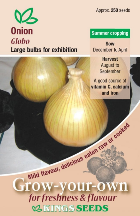 Kings Seeds Onion Globo F1 Hybrid 250 Seeds
