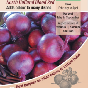 Kings Seeds Onion North Holland Red Blood 250 Seeds