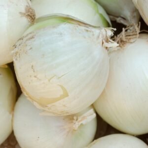 Kings Seeds Onion Paris Silverskin 500 Seeds