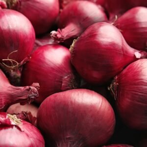 Kings Seeds Onion Red Brunswick 275 Seeds