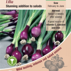 Kings Seeds Onion Spring Lilia RHS AGM 500 Seeds