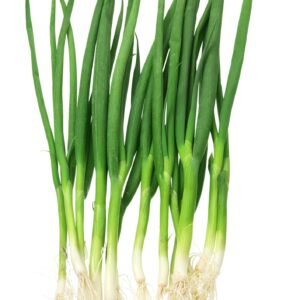 Kings Seeds Onion White Lisbon 800 Seeds