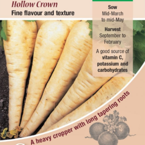 Kings Seeds Parsnip Hollow Crown 800 Seeds