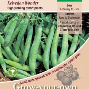 Kings Seeds Pea Kelvedon Wonder 350 Seeds