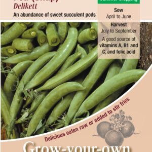 Kings Seeds Pea (Snap) Delikett 250 Seeds