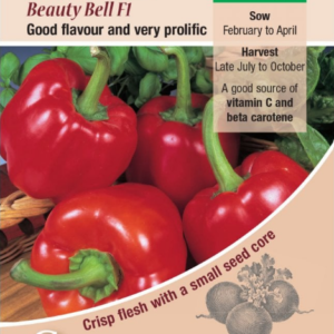 Kings Seeds Pepper Beauty Bell F1 Hybrid 25 Seeds
