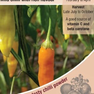 Kings Seeds Pepper Chilli Havana Gold Seeds