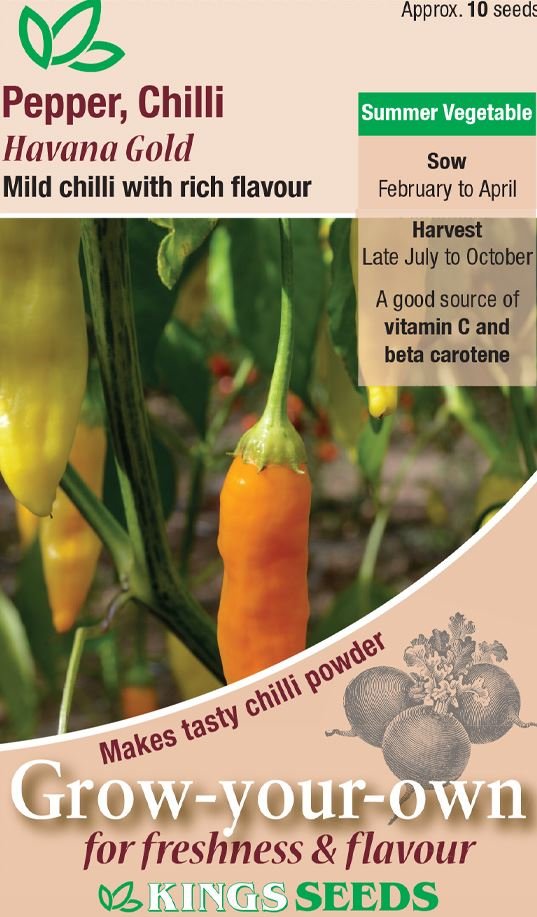 Kings Seeds Pepper Chilli Havana Gold Seeds