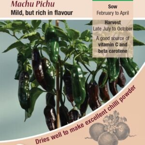 Kings Seeds Pepper Chilli Machu Pichu Seeds