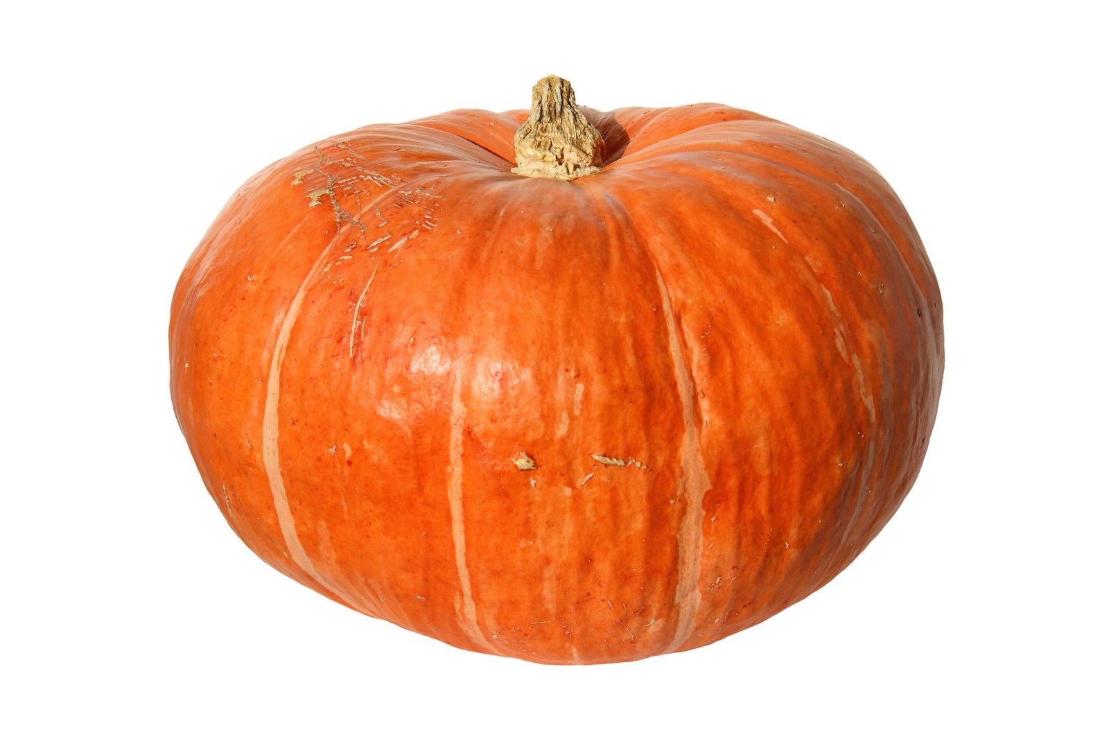 Kings Seeds Pumpkin Hundredweight 15 Seeds