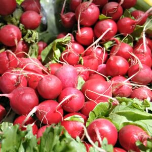 Kings Seeds Radish Cherry Belle 1200 Seeds