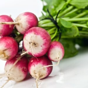 Kings Seeds Radish Poloneza 1000 Seeds
