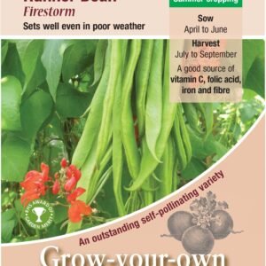 Kings Seeds Runner Bean Firestorm 40 Seeds