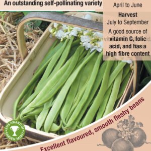 Kings Seeds Runner Bean Moonlight Seeds