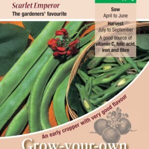 Kings Seeds Runner Bean Scarlet Emperor 45 Seeds