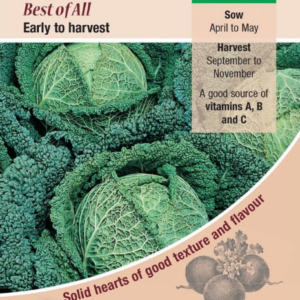 Kings Seeds Savoy Cabbage Best of All 500 Seeds