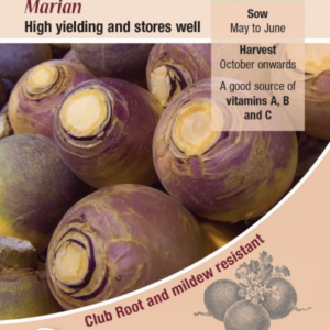 Kings Seeds Swede Marian 900 Seeds