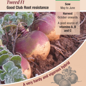 Kings Seeds Swede Tweed F1 Hybrid 250 Seeds