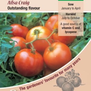 Kings Seeds Tomato Ailsa Craig 75 Seeds