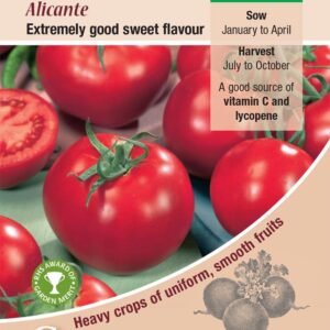 Kings Seeds Tomato Alicante 75 Seeds