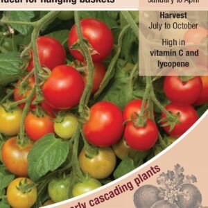 Kings Seeds Tomato Cherry Falls F1 Hybrid Seeds