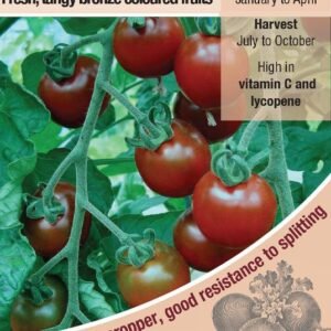 Kings Seeds Tomato Garnet Seeds