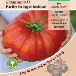 Kings Seeds Tomato Gigantomo F1 Hybrid 10 Seeds