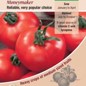 Kings Seeds Tomato Moneymaker 75 Seeds