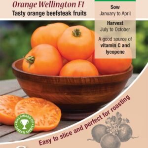 Kings Seeds Tomato Orange Wellington F1 Hybrid 10 Seeds