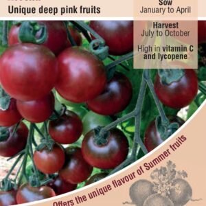 Kings Seeds Tomato Rosella Seeds