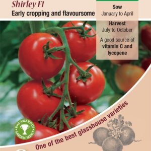 Kings Seeds Tomato Shirley F1 Hybrid 10 Seeds