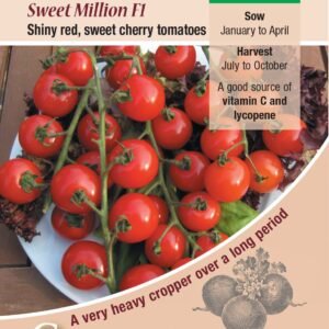 Kings Seeds Tomato Sweet Million F1 Hybrid 20 Seeds