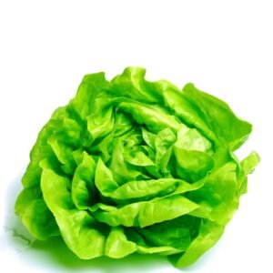 Lettuce Buttercrunch Seeds