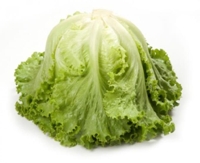 Lettuce Green Batavia Emocion RZ (8122) Seeds