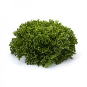 Lettuce Incised Leaf Salanova Exaudio RZ Untreated Seeds